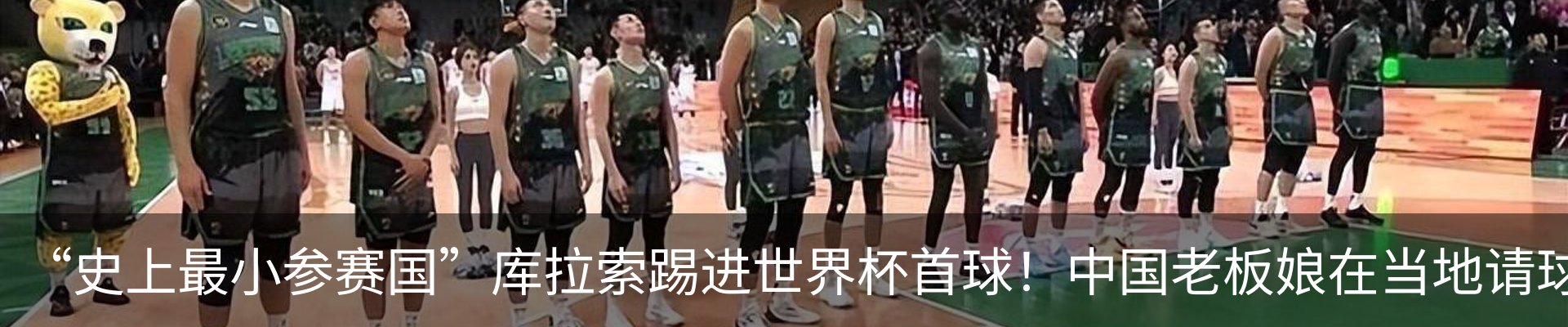 新闻动态